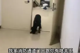 男子制止邻居在消防通道养烈犬，网暴他的人是何居心图片