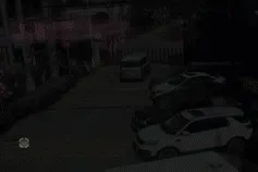 200斤的鹿“嗖”的一下就跳过大门进来了图片