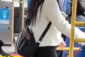 女子带导盲犬上公交车，大爷大妈纷纷起身让座图片