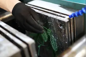 （外代二线）生产人造圣诞树图片