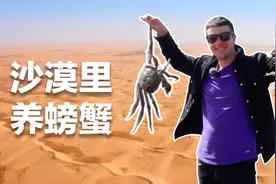 英国小哥@库布齐沙漠，见证荒漠变绿洲的中国奇迹图片