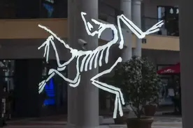 始祖鸟大热，网上的“代工货”是真的吗？图片