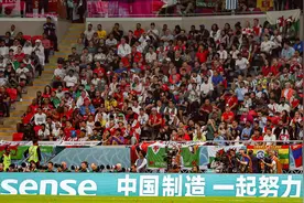 泺源观澜丨世界杯，可以拯救什么？图片