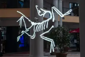 始祖鸟大热，网上的“代工货”是真的吗？图片