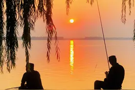 市井 | 美丽的停顿图片