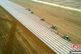 新疆兵团农业机械化水平为何能居中国前列？图片