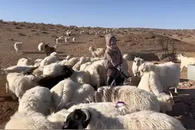 5岁草原男孩喂羊做饭样样精通，妈妈：3岁就开始主动帮家里干活，从小耳濡目染图片