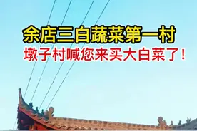 广水：余店三白蔬菜第一村墩子村喊您来买大白菜了图片