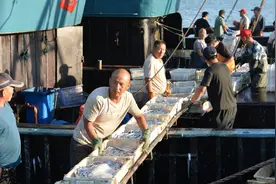 码头工人的“失落”叙事与基隆港的兴衰史图片