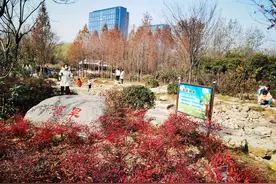 郑州大部分市管公园已恢复开放图片