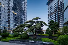 亿万级大平层豪宅首现长沙：美，才是看得见的竞争力图片