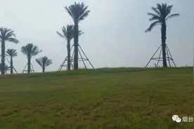 刘艳红｜|我的外祖母图片