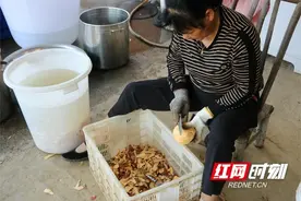 赫山区欧江岔镇：特色“零嘴”红薯皮 增收致富小产业图片