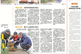 梅州：围剿红火蚁图片