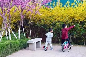 小二，你妈喊你回家吃饭图片