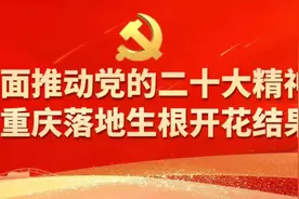 注意啦，绿通优惠政策有变化了！图片