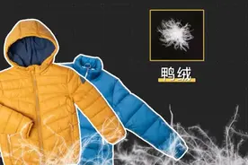 午FUN｜鸭绒还是鹅绒？羽绒服应该怎么选？图片