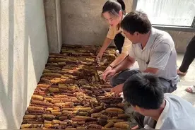 她在抖音“零售”农技，带动八万人用秸秆种“蘑菇”图片