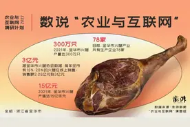 中国三大“名腿”之一，走出了一条新路子图片