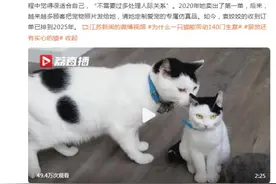 栩栩如生！女子手作仿真猫走红，订单排到2025年图片