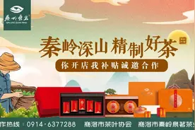 散文名家眼中的商洛 | 鲍尔吉·原野：宣传美丽商洛 讲好商洛故事图片