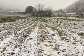 宜昌小伙深山赤膊玩雪，网友：隔着屏幕发抖图片