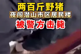 200斤野猪下山，夜闯居民家！民警“砰砰”两枪将其击毙图片