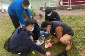 赌球输红眼，男子胶带捆绑女网友，逼问出支付密码图片