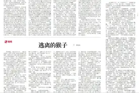 坊间‖逃离的猴子图片