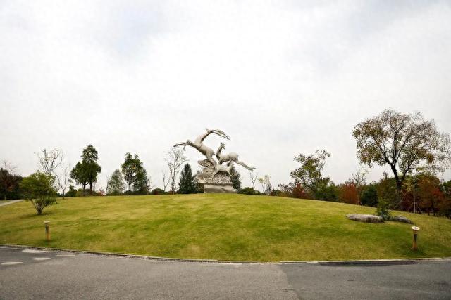 郊野公园攻略(广富林郊野公园)