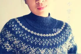 雪花：从上往下织的圆肩育克提花毛衣裙（有编织图解）图片