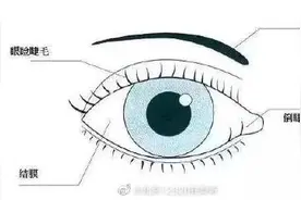 孩子的睫毛总扎眼睛是怎么回事？图片