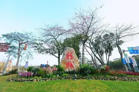 龙城“芯”路｜从荒郊到中心，龙城的城市能级跃升之路图片