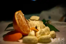 酸奶玩出新花样！走进第五届酸奶DIY大学生创新竞赛图片