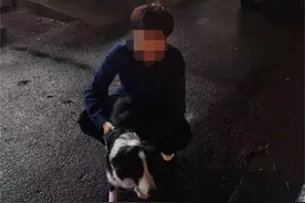 边牧狗狗跟外卖小哥“私奔”，警察叔叔为它“捉急”图片