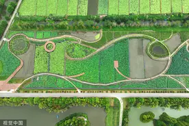 苏州规划澄湖地区发展，周庄等四镇协同打造鱼米之乡样板区图片