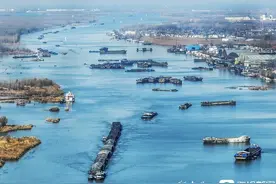 组图丨济宁：京杭大运河微山段货运船只穿梭往来图片