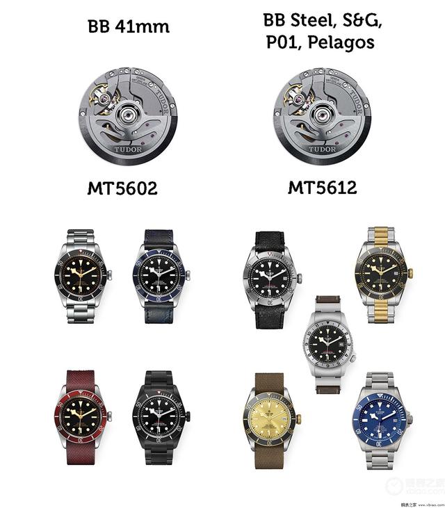 ����2��3�򼶱𣬵۶桰���롱����ʿ10����