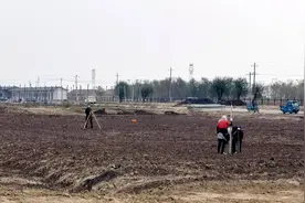 打造盐碱地果树选育种植新高地图片