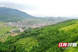 道县红色印记丨红色遗址②：红六军团激战蒋家岭图片