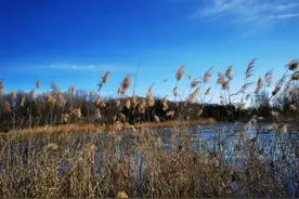 老俞闲话丨万物皆有裂痕，那是光照进来的地方！图片