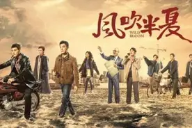 看《风吹半夏》，读懂合法创业那些事儿！图片