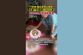 失散7年跨越1280公里，狗狗与主人奇迹般重逢图片