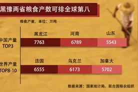 我国粮食产量连续4年正增长 22省连续十年产粮超200亿斤图片