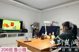 弘扬宪法精神 光谷四小学子争做遵纪守法好少年图片