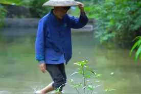 中英双语丨十八洞村小哥吃什么？冒着热气的土鸭蛋！图片