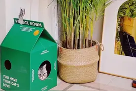 在抖音上砸了几千万，我总结了投放亏钱的十个大坑！图片