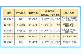 最冷6℃！强冷空气周末“杀到”，三亚气温将降至今年以来最低图片