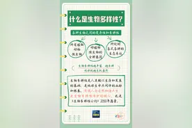 【聚焦COP15-2】什么是生物多样性？一起打卡学起来→图片