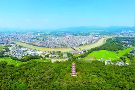 惠州龙门：省鸟白鹇成群出没塔山公园图片